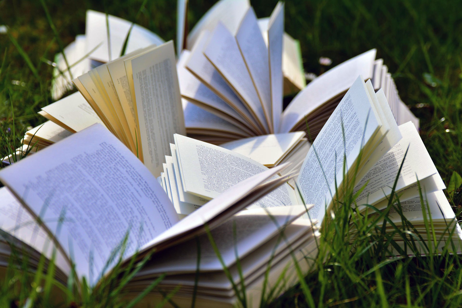 Abril é o Mês do Livro e da Literatura. Como o celebrar no Porto?