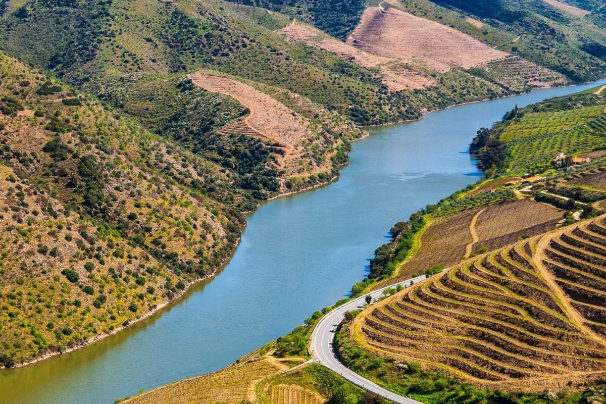 Dia Inteiro no Douro “O Nosso Douro”